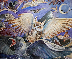 Crows and Owls Illustration